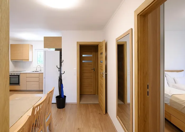 Apartment Ady 33 Premium *