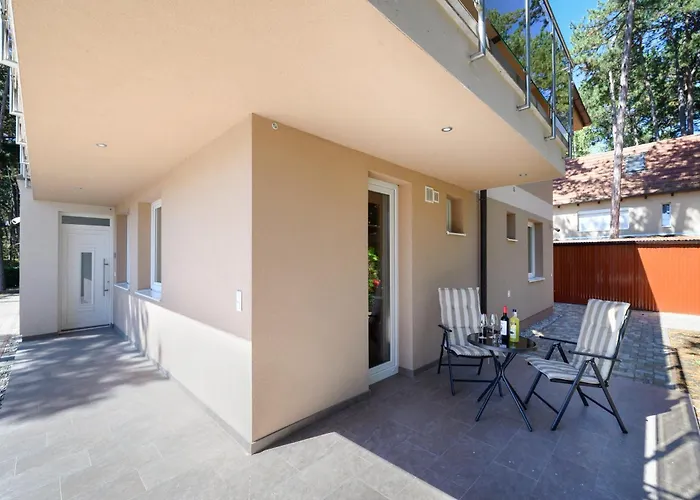 Ady 33 Premium שיופוק