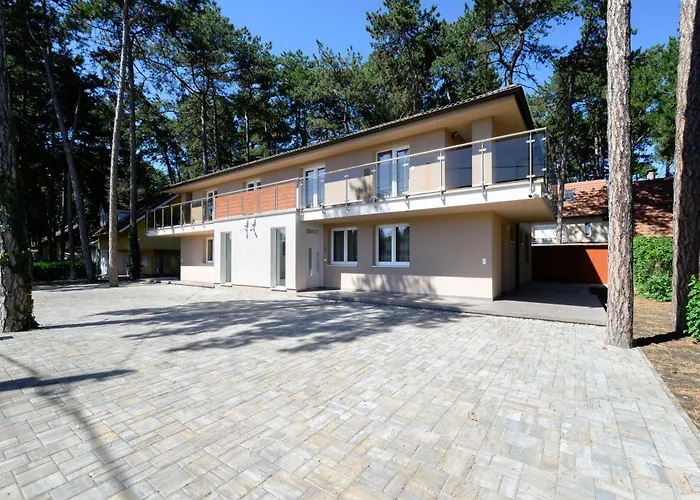 Ady 33 Premium Daire Siofok